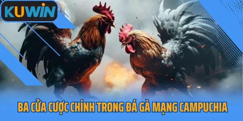 Ba cửa cược chính trong đá gà mạng Campuchia