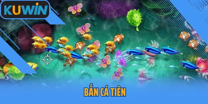 Bắn Cá Tiên Kuwin Và Những Trải Nghiệm Giá Trị Dành Cho Bạn