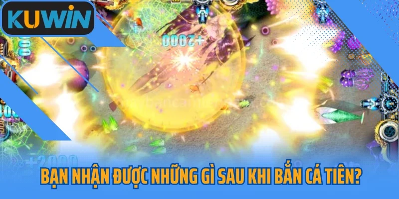 Bạn nhận được những gì sau khi bắn cá tiên?