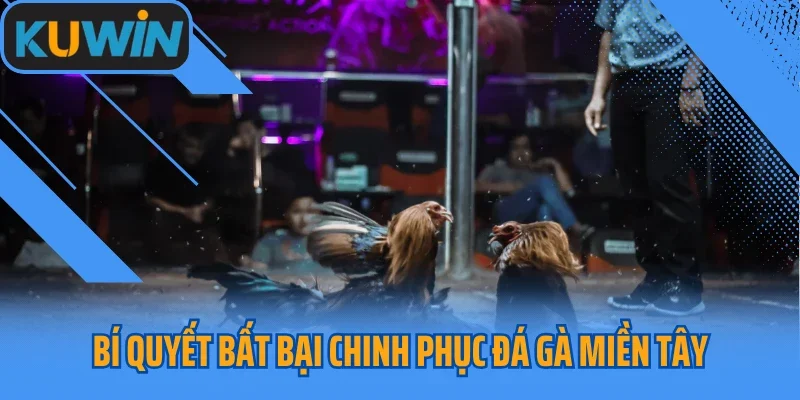 Bí quyết bất bại chinh phục đá gà miền Tây