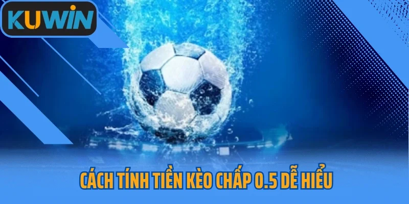 Cách tính tiền kèo chấp 0.5 dễ hiểu