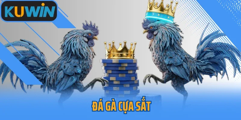 Giải Mã Sức Hút Lớn Nhất Từ Đá Gà Cựa Sắt Tại Kuwin 