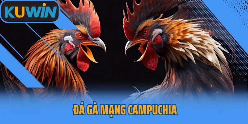 Đá Gà Mạng Campuchia Loại Hình Ăn Khách Hàng Đầu Tại Kuwin