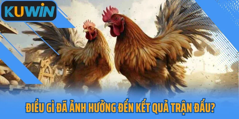 Điều gì đã ảnh hưởng đến kết quả trận đấu?