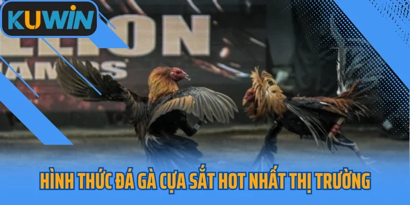 Hình thức đá gà cựa sắt hot nhất thị trường