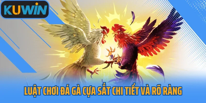 Luật chơi đá gà cựa sắt chi tiết và rõ ràng