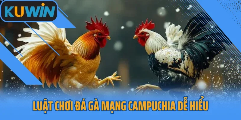 Luật chơi đá gà mạng Campuchia dễ hiểu