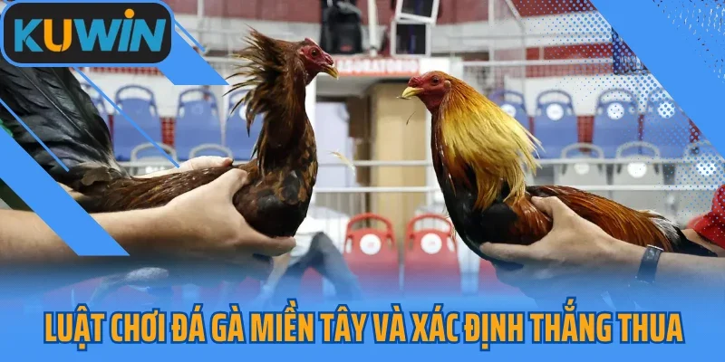 Luật chơi đá gà miền tây và xác định thắng thua