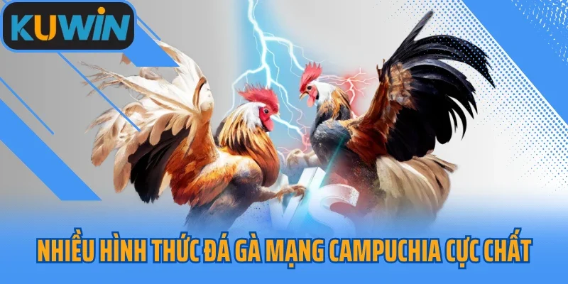 Nhiều hình thức đá gà mạng Campuchia cực chất