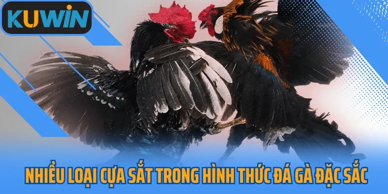 Nhiều loại cựa sắt trong hình thức đá gà đặc sắc