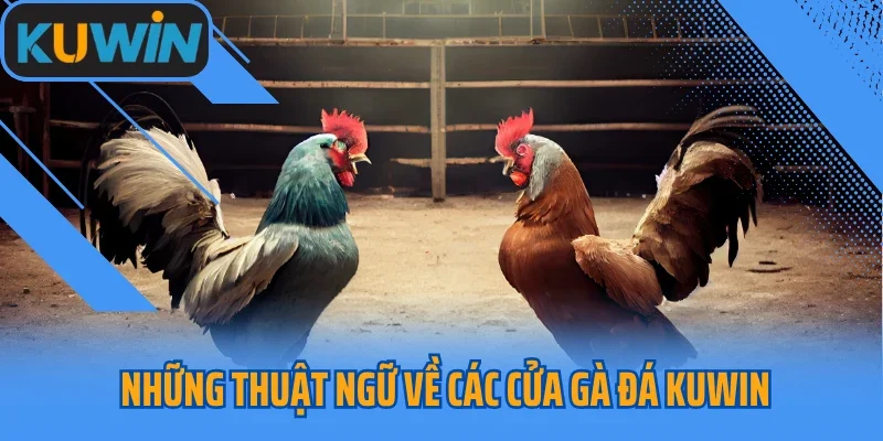 Những thuật ngữ về các cửa gà đá Kuwin